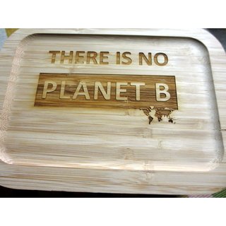 There is no planet B